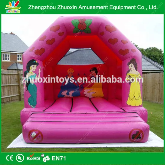 Great Fun Amusement New Princess themed Mini Bouncer