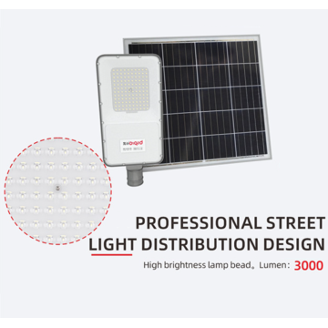 LED Solar Street Light dengan Pole