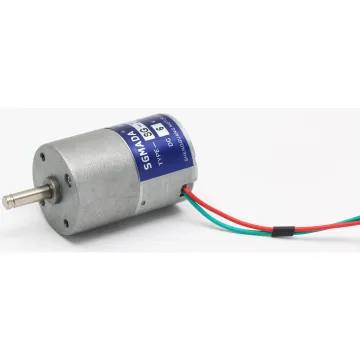 12V Low RPM High Torque DC Gear Motor