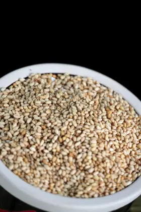 Toasted sesame seasoning