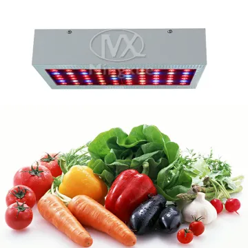 Professional 300W LED Grow Light