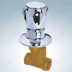 Simple Brass Globe Valve