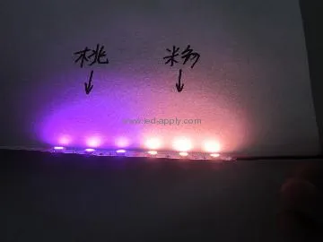 24V smd5050 led strip light single line 60pcs/m