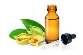 ylang oil2