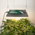 Pianta indoor a led coltivazione leggera