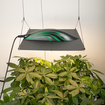 LED Grow Light Indoor Plant