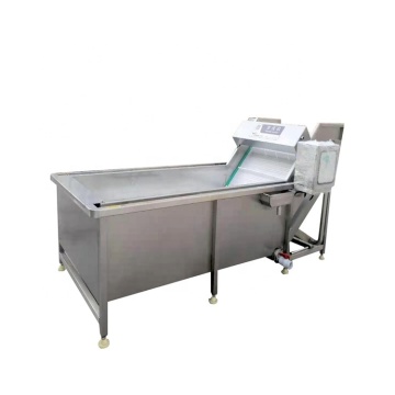 Seafood Washing Machine: Commercial Oyster Water Bubble Wash System