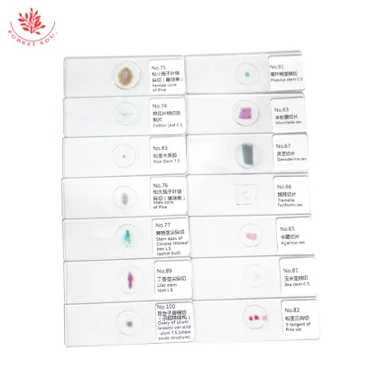 Botany Histology Laboratory Slides: FRT2004 Teaching Aids - 100 Kinds of Plant Microscope Slides