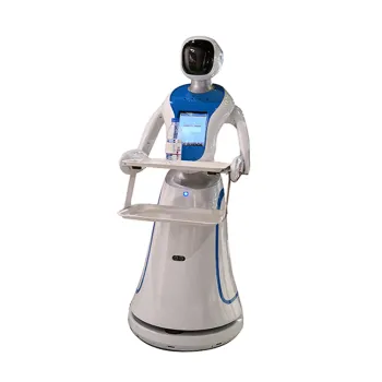 Automated Interactive Waiter Robot Toy