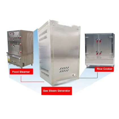 Automatic Stainless Steel LPG/Natural Gas Heating Steam Boiler Generator for Efficient Energy Solutions