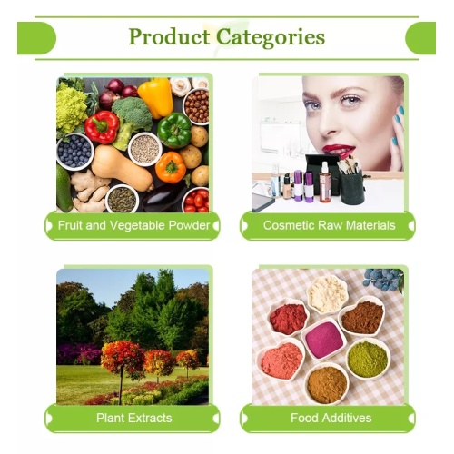 Premium Organic Rubia Cordifolia for Deep Antioxidant Support