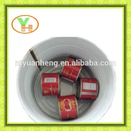 tomato paste processing plant, gino tomato paste, aseptic tomato paste, bulk tomato paste