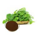 /msite/products/detail/productid/58636212/id/684075.html