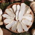 Detan Frozen Wild Tricholoma Matsutake