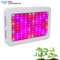 1000W LED Grow Light kit for seedlings