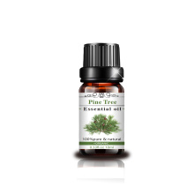 Berkualitas tinggi aromaterapi pinus pohon pinus minyak esensial set diffuser oil esensial