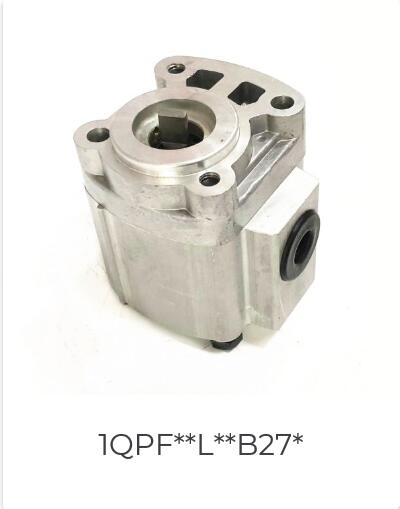 group 2 gear pump