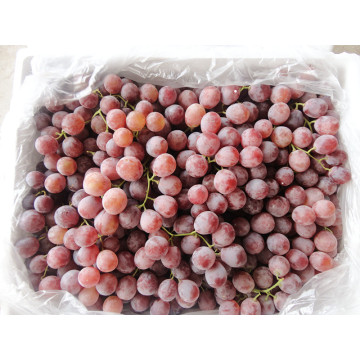 22-26 mm czerwonych winogron świecie