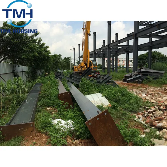 the famous steel structure buildings with wholesale price