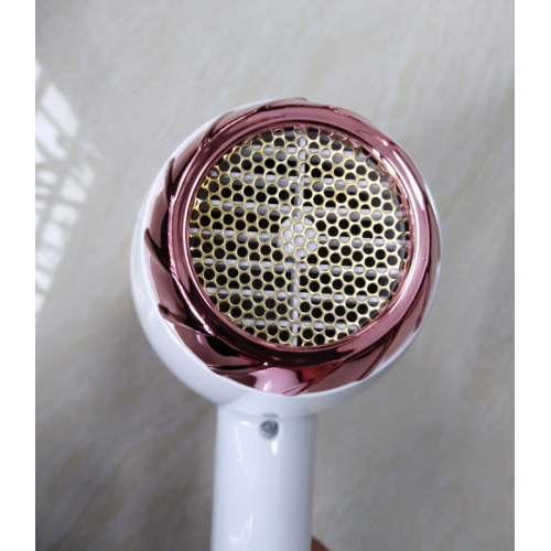 AC Motor Professional Ironic Electric Hair Dryer