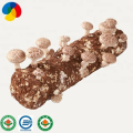 substrato de muitairo orgânico de shiitake