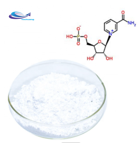 Beta Nicotinamide Mononucleotide