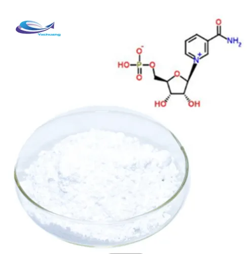 supply BETA- Nicotinamide mononucleotide ( NMN) 99% powder
