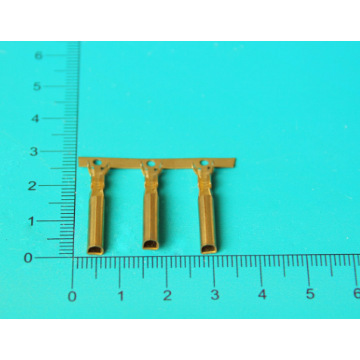 Brass Bullet Terminal Male/Female