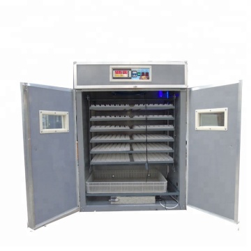 Best Egg Incubator Machines for Hatching Chicks