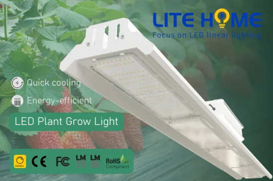 led lighting for growing plants indoors