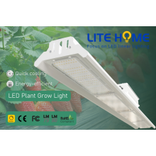 إضاءة LED للنباتات المتنامية في الداخل