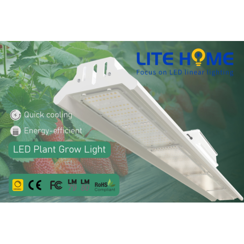 Iluminação LED para cultivo de plantas dentro de casa