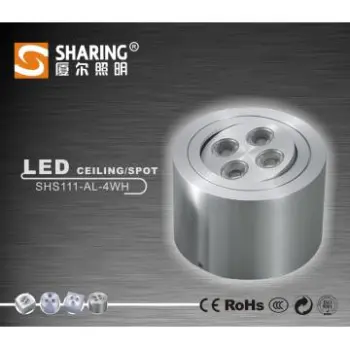 Hot-sell 6W Epistar LED Ceiling Light