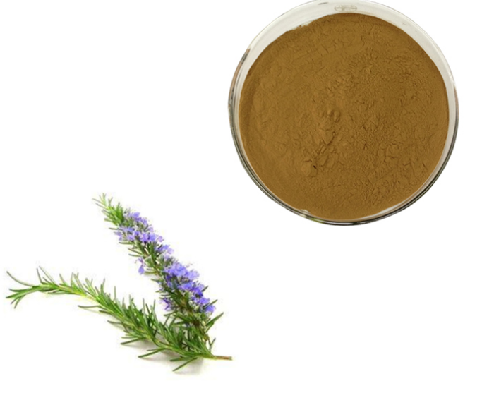 Rosemary Leaf Oleoresin Extract Png