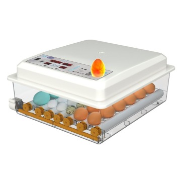 Fully automatic intelligent incubator controller poultry and bird egg incubator