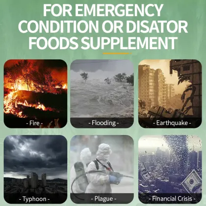 Expedition Foods 10-Year Shelf Life Freeze-Dried Beef Bibimbap Emergency Food