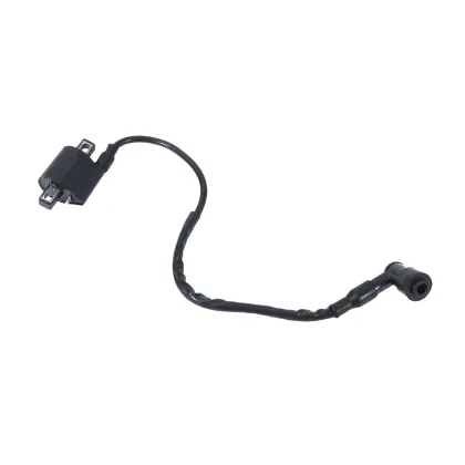 HONLG Motorcycle Ignition Coils for GN125 GN150
