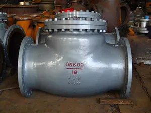 BS 1868 Swing Check Valve, ASTM A216 WCB, DN600, PN16