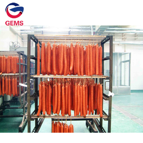 Steam/Cold/Hot Type Catfish Chicken Smoking Machine