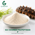 Polipeptidasa de pepino de mar Producción de péptidos de pepino de mar