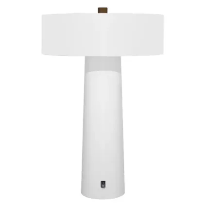 UL Listed Marriott Residence Inn Neuhaus Honed Guestroom Desk Lamp