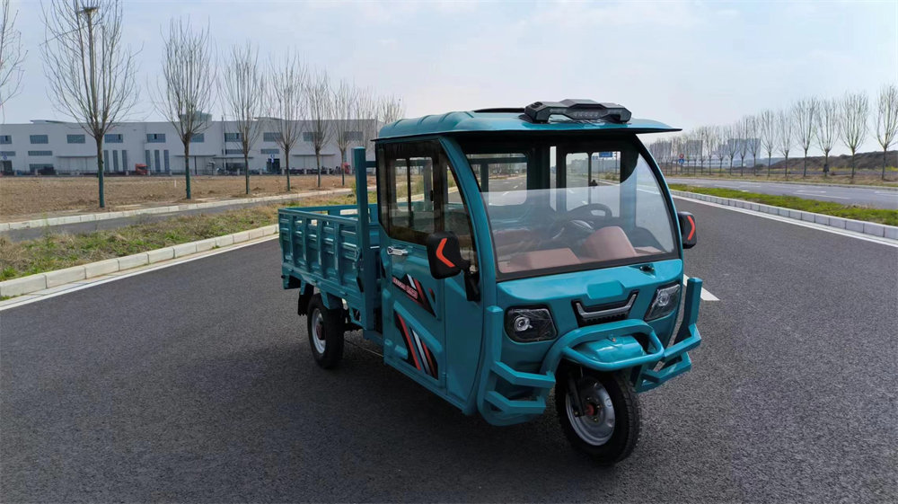 Tricycle With Separate Passenger And Cargo