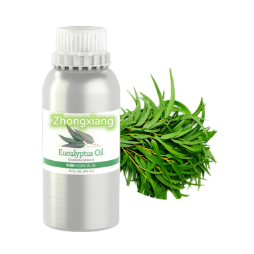 2022 hot selling pure natural eucalyptus oil bulk