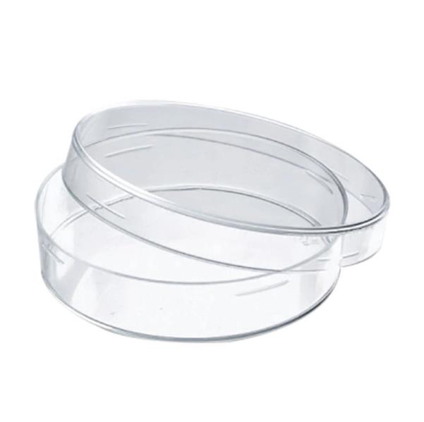 High Quality Transparent Glass Petri Dishes 120mm