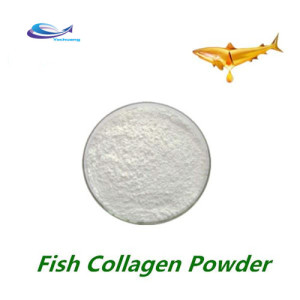 Halal Pure Vegan Fish Marine Collagen