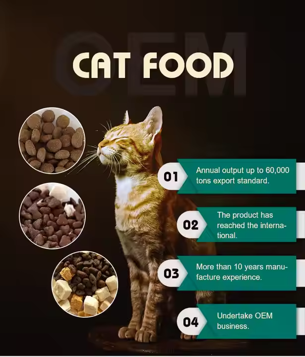 cat food1.5