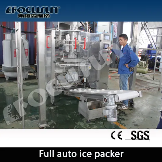 full auto ice packer, ice packer machine, packer machine                        
                                                Quality Assured