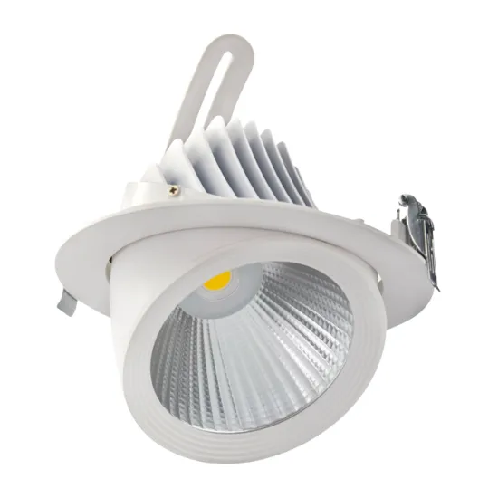 RONSE Coffee Shop Lights: 30W 3000K 6000K Recessed LED Downlight - TRIAC Dimmable