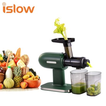 Αυτόματο οριζόντιο ψυχρό Τύπο Fruit Slow Juicer για την κατασκευή χυμού καρότου πορτοκαλιού Apple Orange