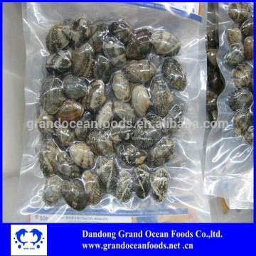 Frozen cooked baby clams -- export USA market
